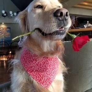 Meet your Posher, Patricia